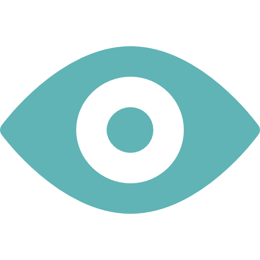 Vision
